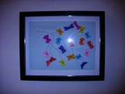 different types of butterfly representing different genre